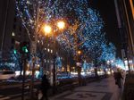 24.lightup.jpg